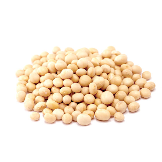 生機黃豆(1000g/袋)